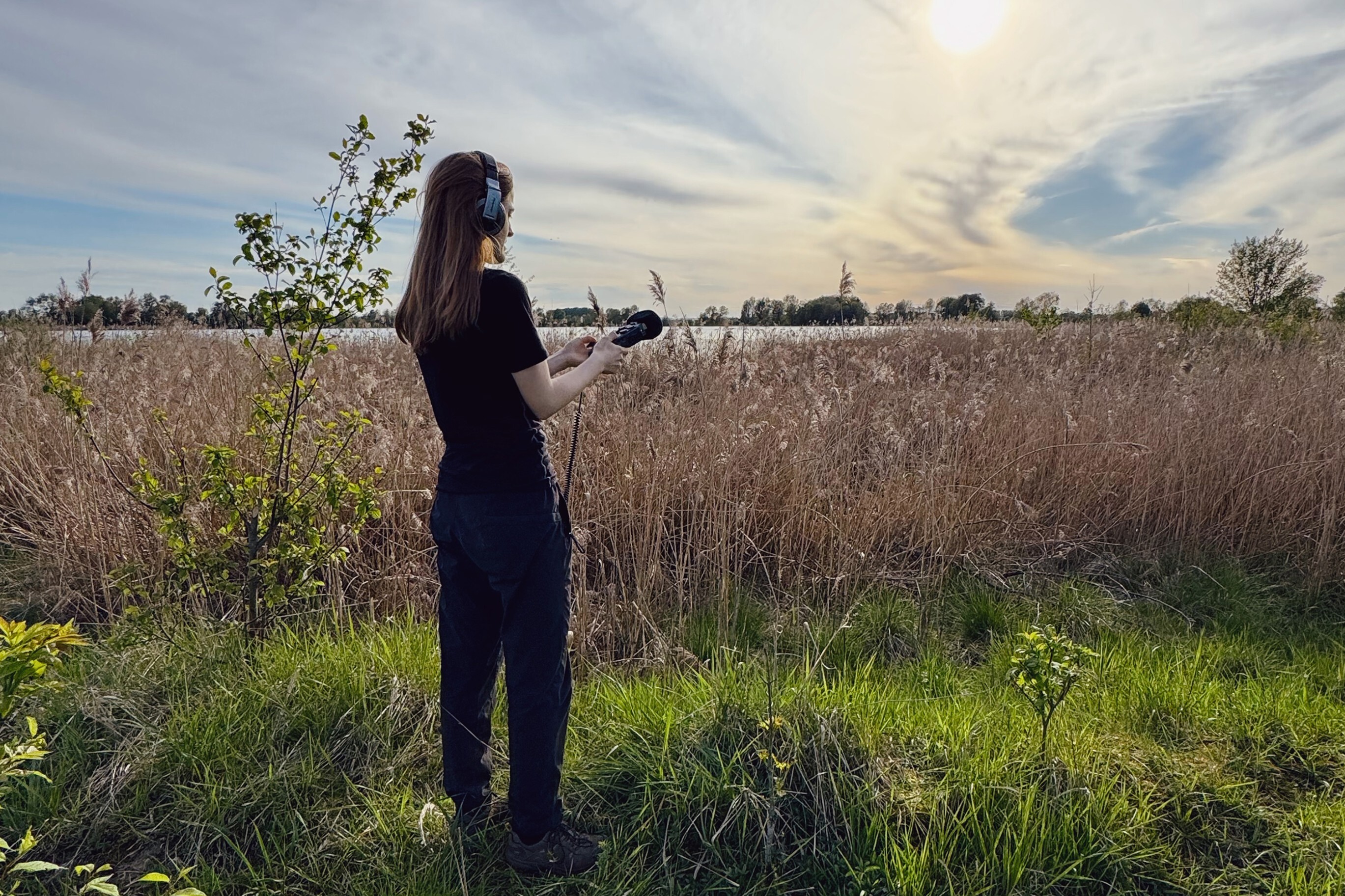 Klangkulissen werden mit dem Zoom Handy-Rekoerder gewonnen. Donaumoos. Mai 2024. Erstellt von Nepomuk Heller