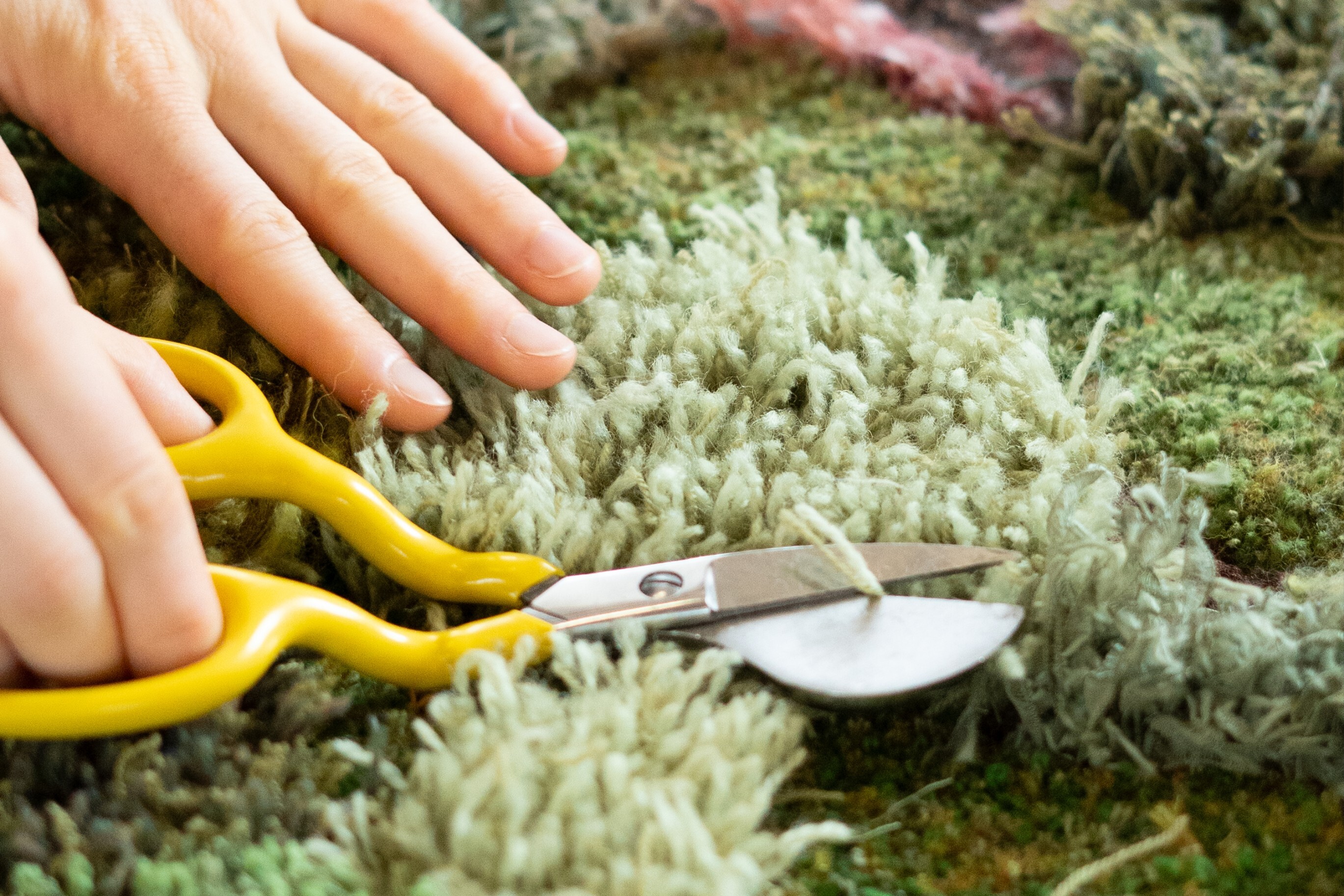 Nahaufnahme einer Entenschnabelschere. Mai 2024. Fotografiert von Petra Maue-Pinto