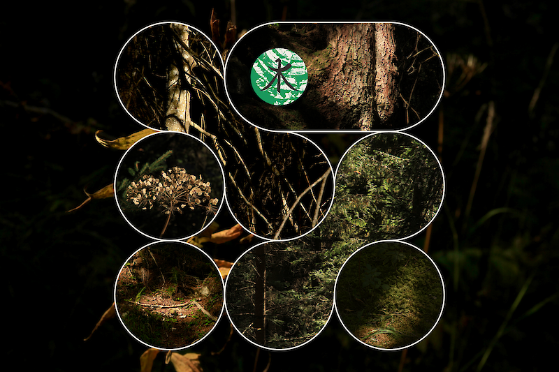 Unlearning Forests