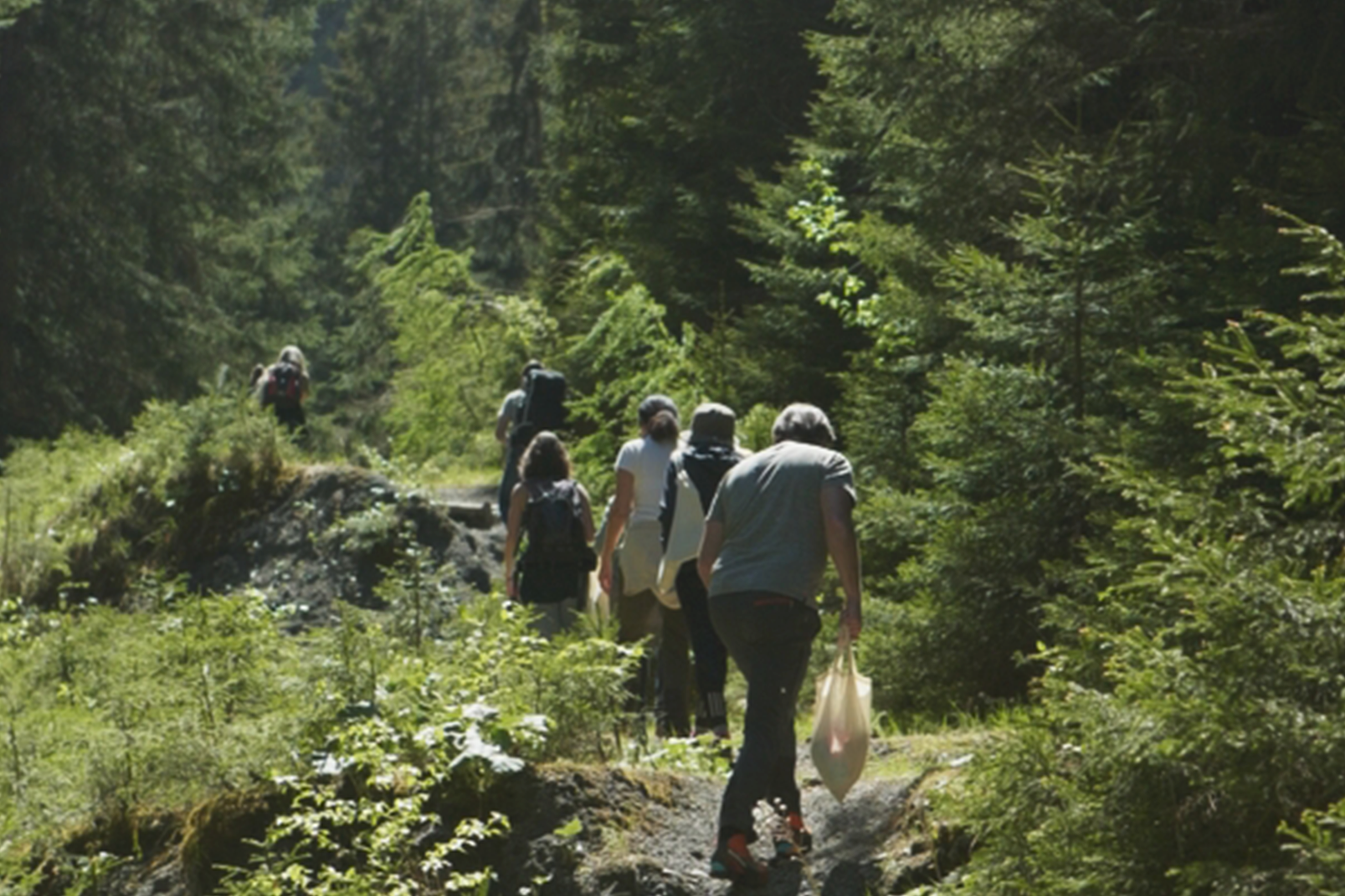 Soundwalking through the natural forest reserve in Safiental, May 2024, Photo taken by Niklas Kammel
