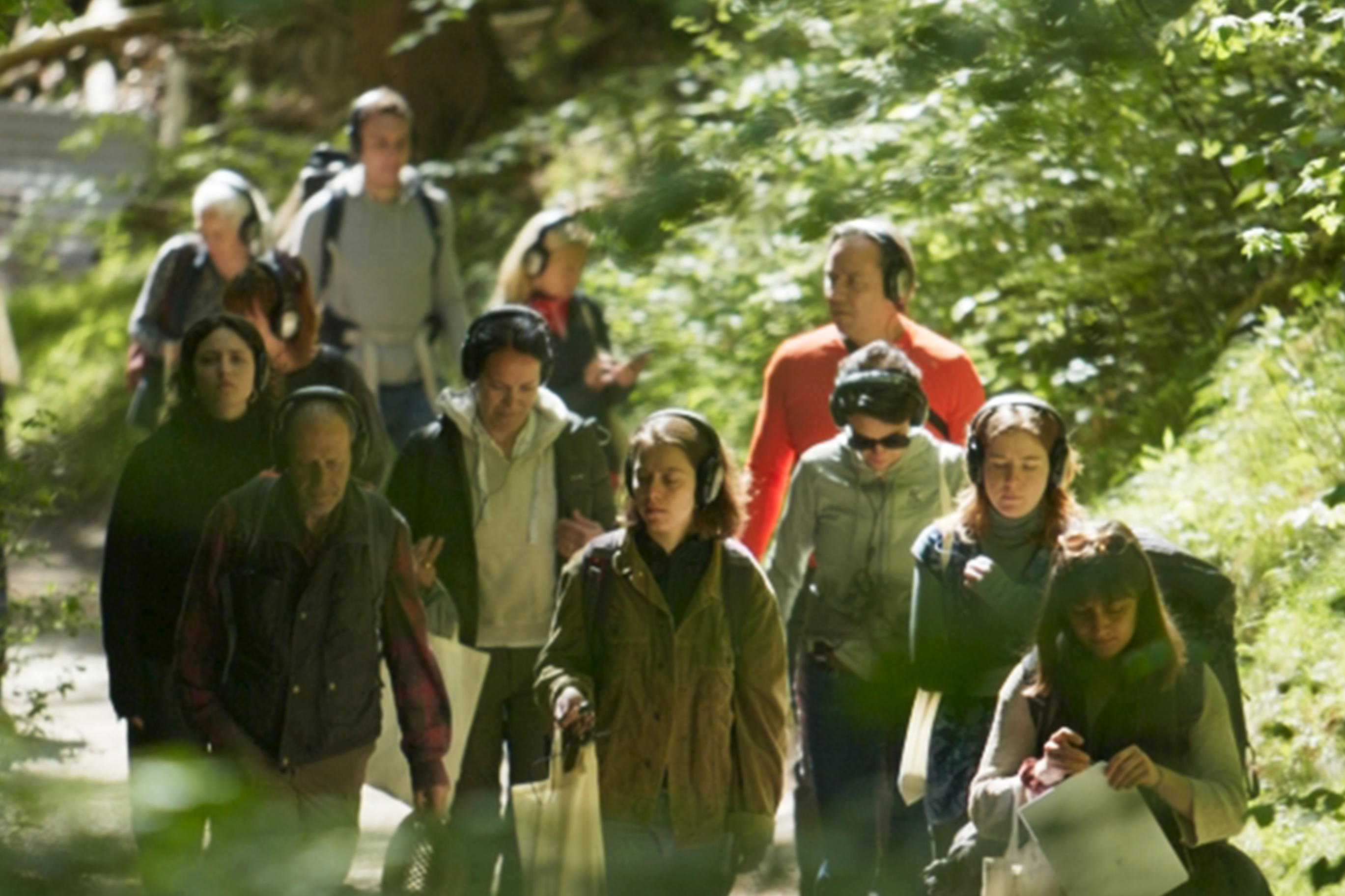 Participants soundwalking through the woods in Safiental, May 2024, Photo taken by Niklas Kammel