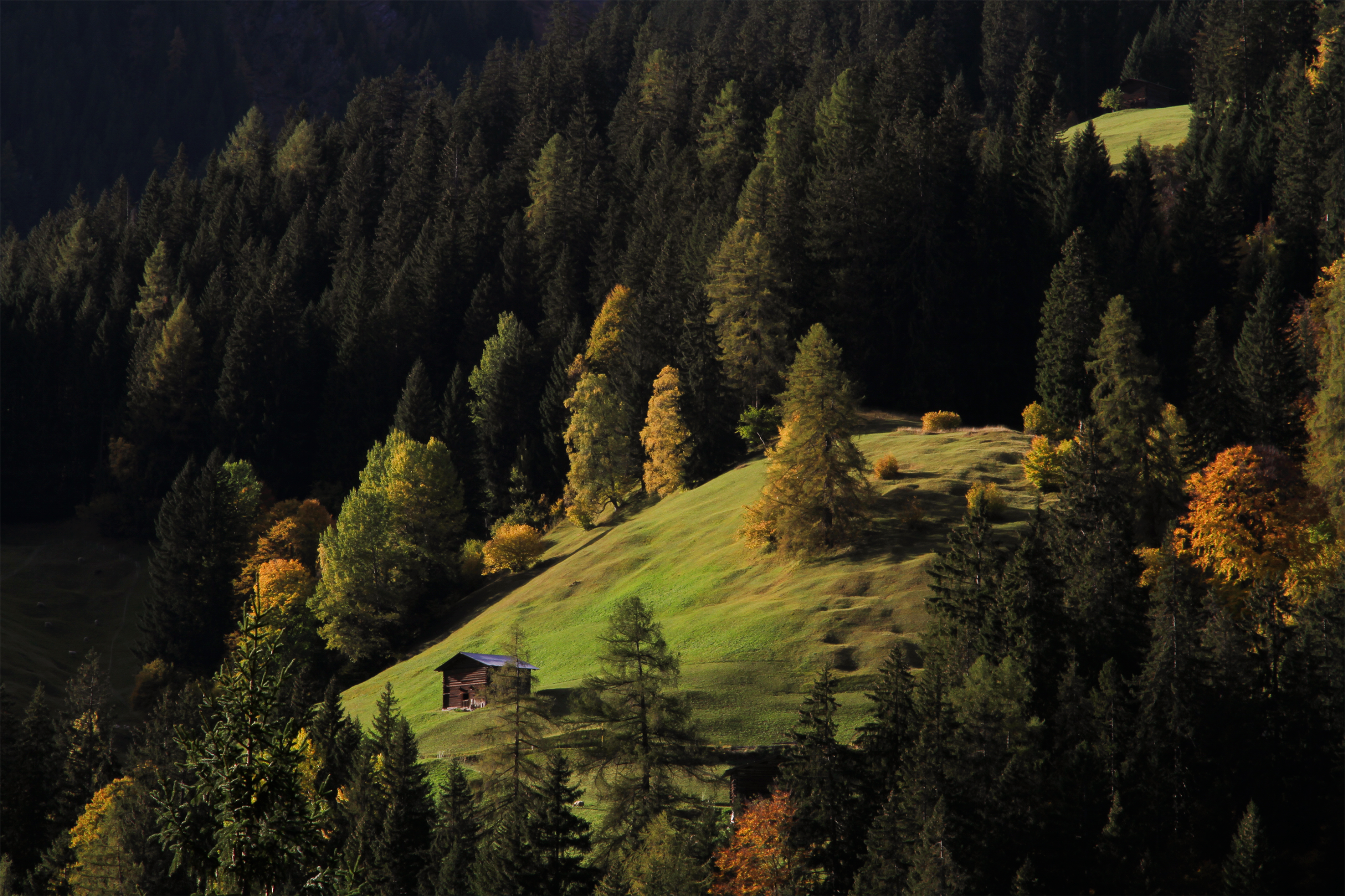 Observing differently managed forests in the Safiental through Acoustic Ecology, Oct 2023, Photo taken by Jolanda Jerg