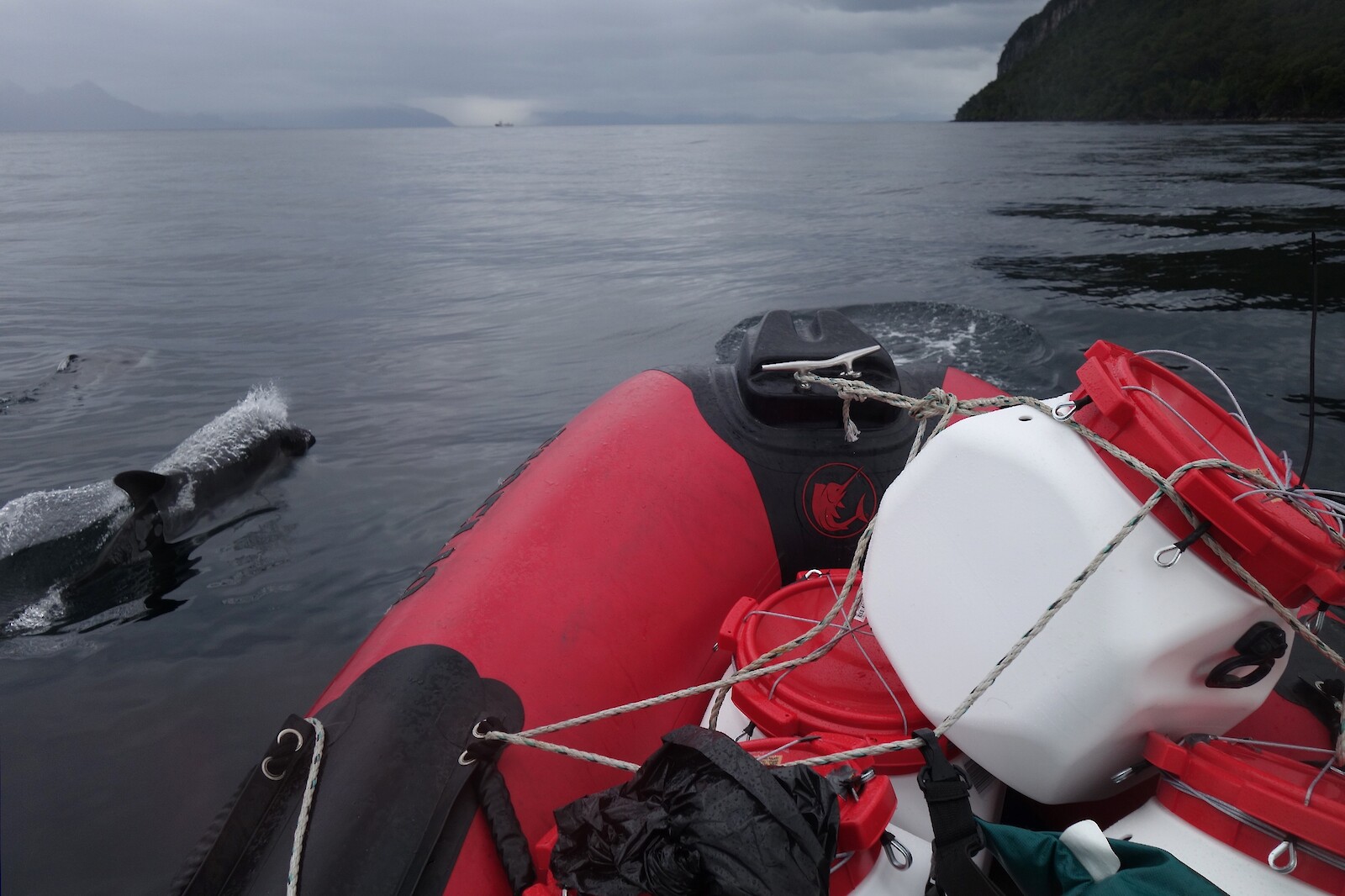 Photos: Raviv Ganchrow