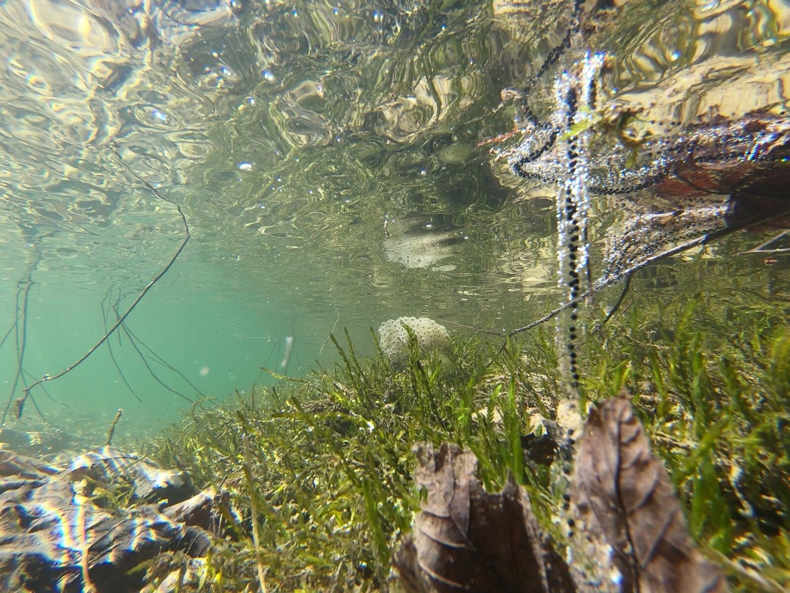 "RIVER-SCAPES". Silvana De Paola, Silvan Roth, Dominic Sutter