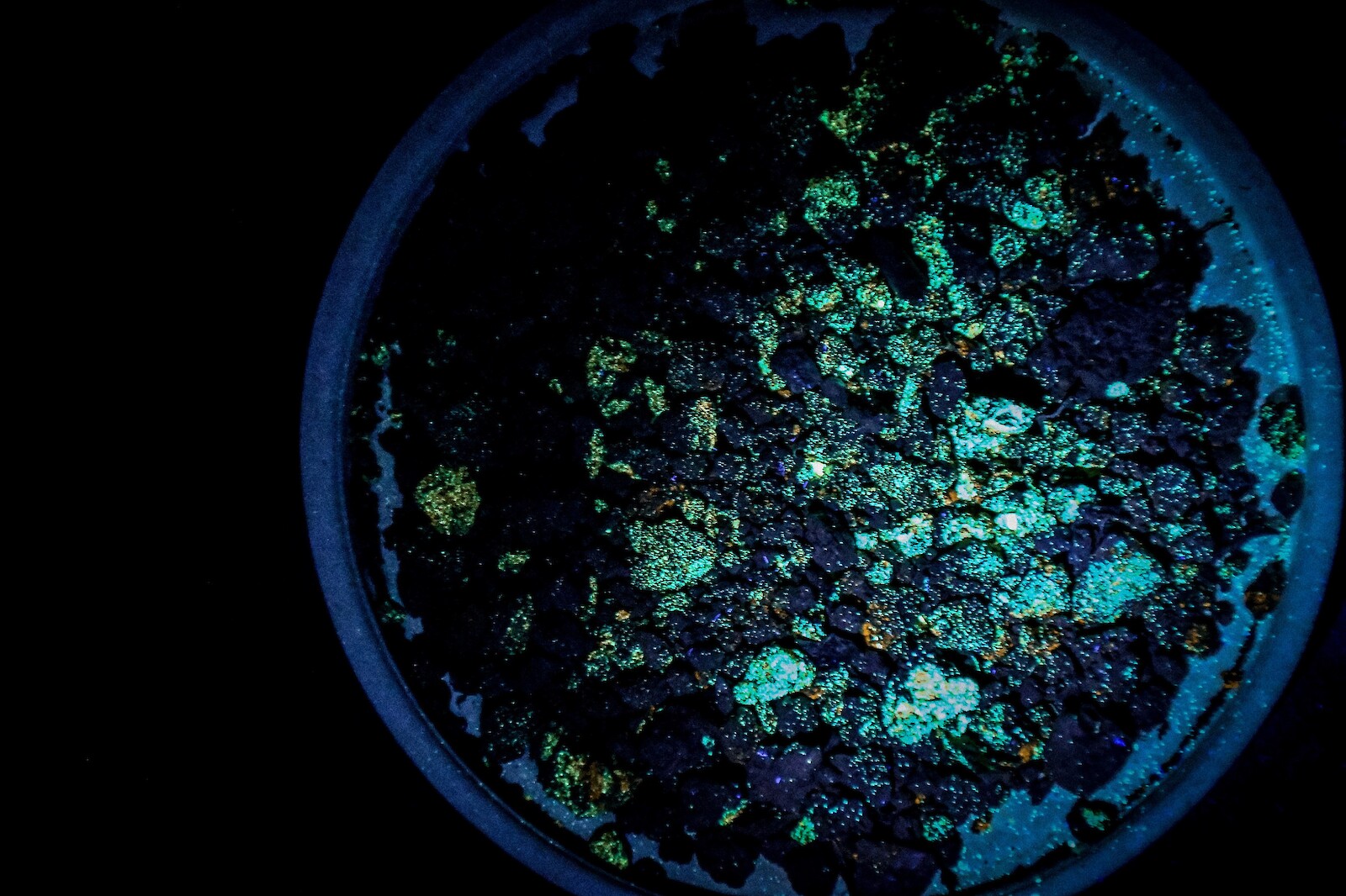 "CHORNOZEM". Kirill Kohl, Olivia Menezes, Yaroslava Shylyk