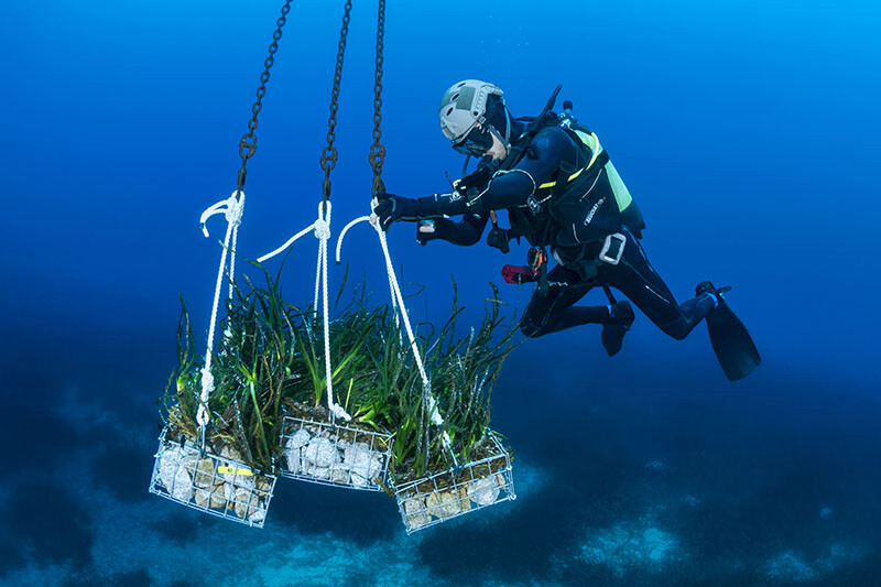 Photo: Lovina Füllgrabe