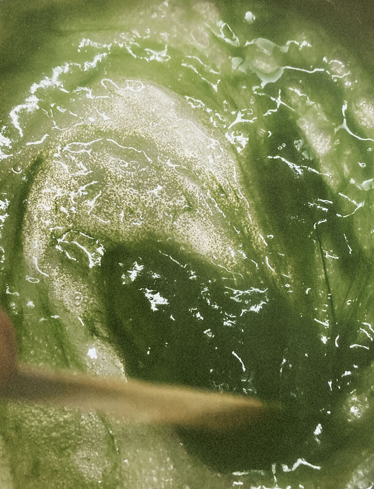 Bioregional Curriculum