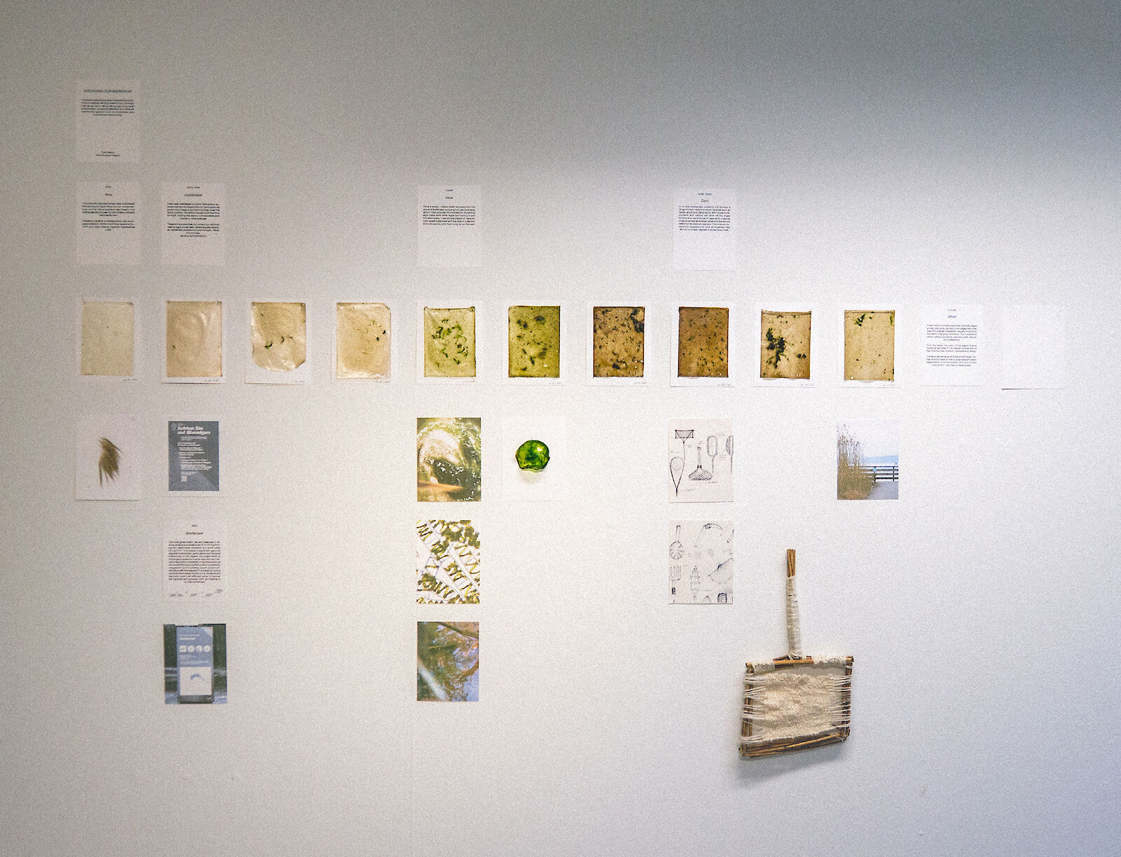 Bioregional Curriculum