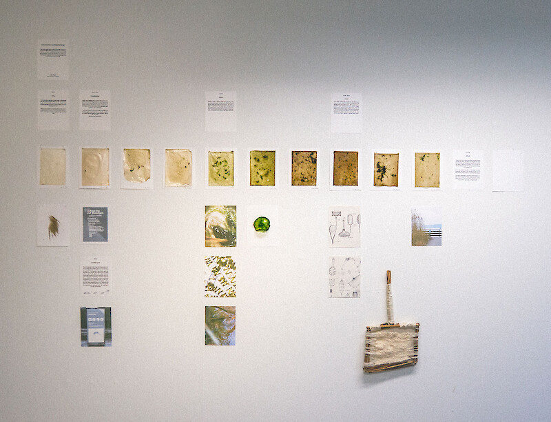 Bioregional Curriculum