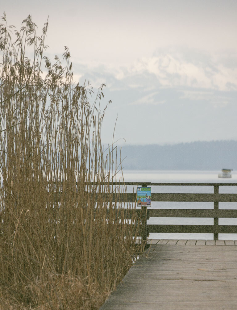 Bioregional Curriculum