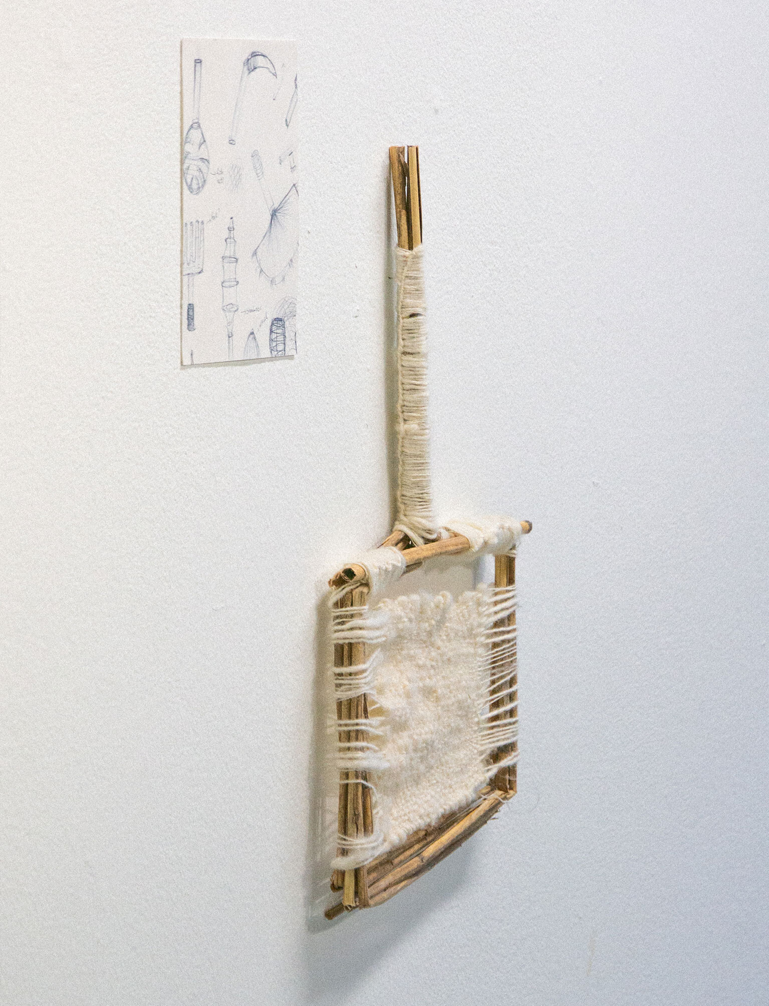 Bioregional Curriculum