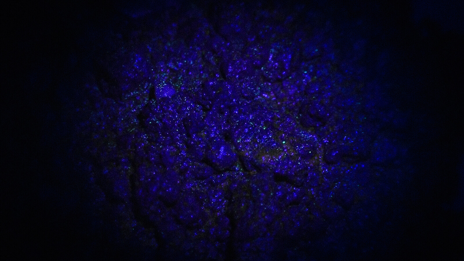 Fluorescent Curcumin solution underneath UV light