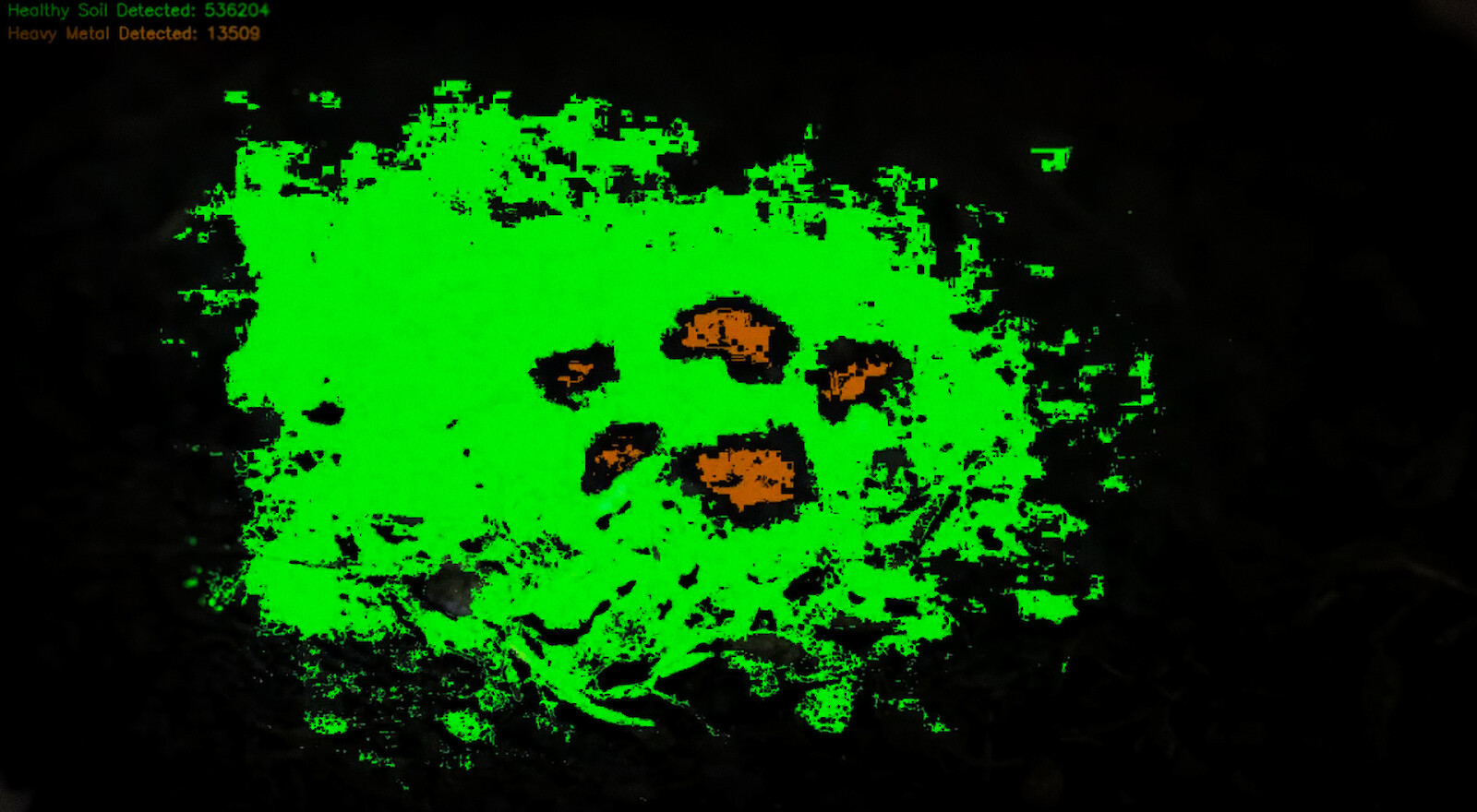 The computer vision algorithm analyses the drone footage and differentiates between healthy fluorescence and suppressed chemical reactions on the soil.