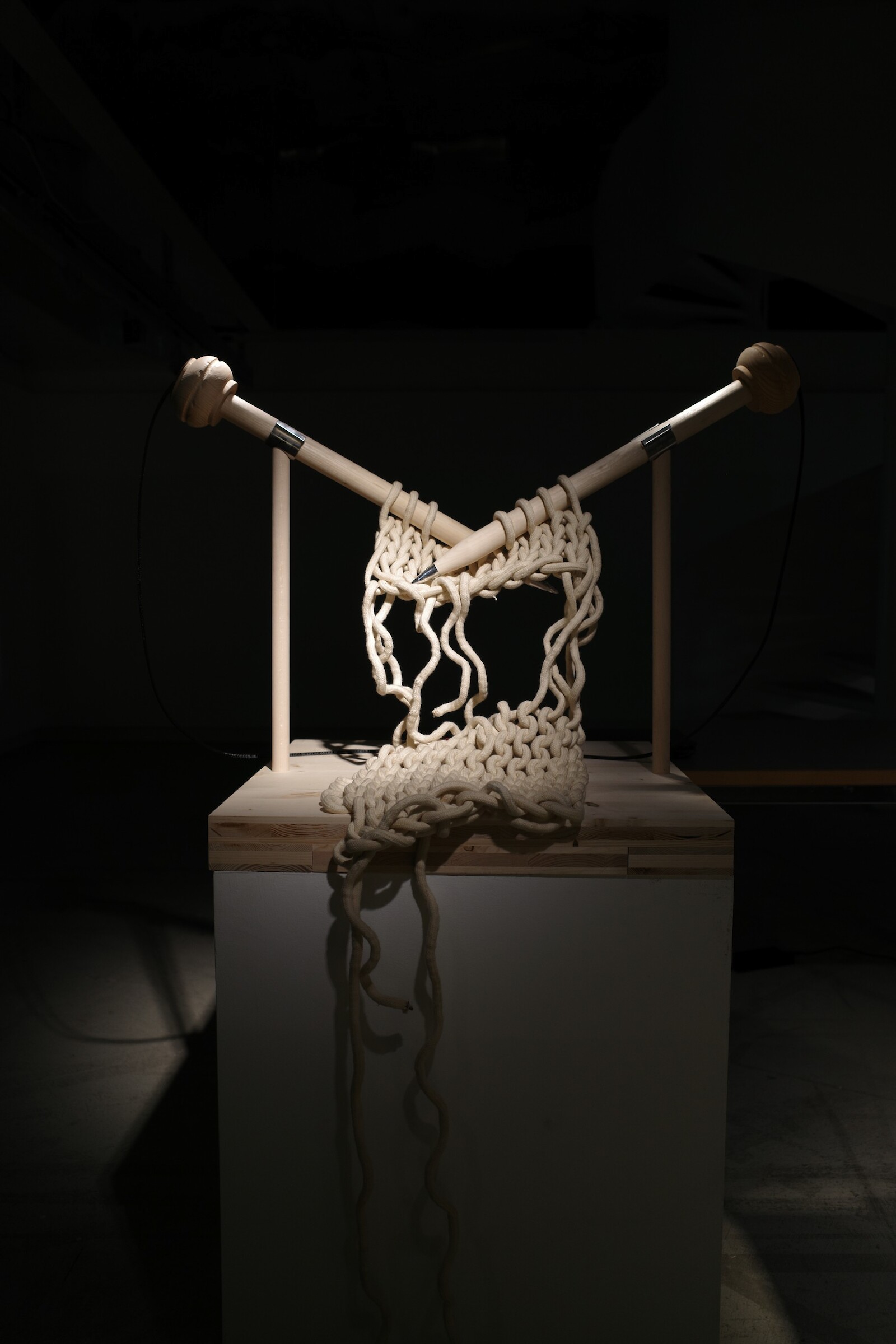 7 stiches of grief: Arya Atul Gohad, Meagan Crowe and Nadja Haefliger