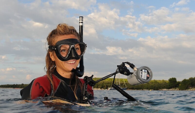 Interfacing Ecologies || Sandra Bračun || 26 June 2025 || 17.30 on Zoom