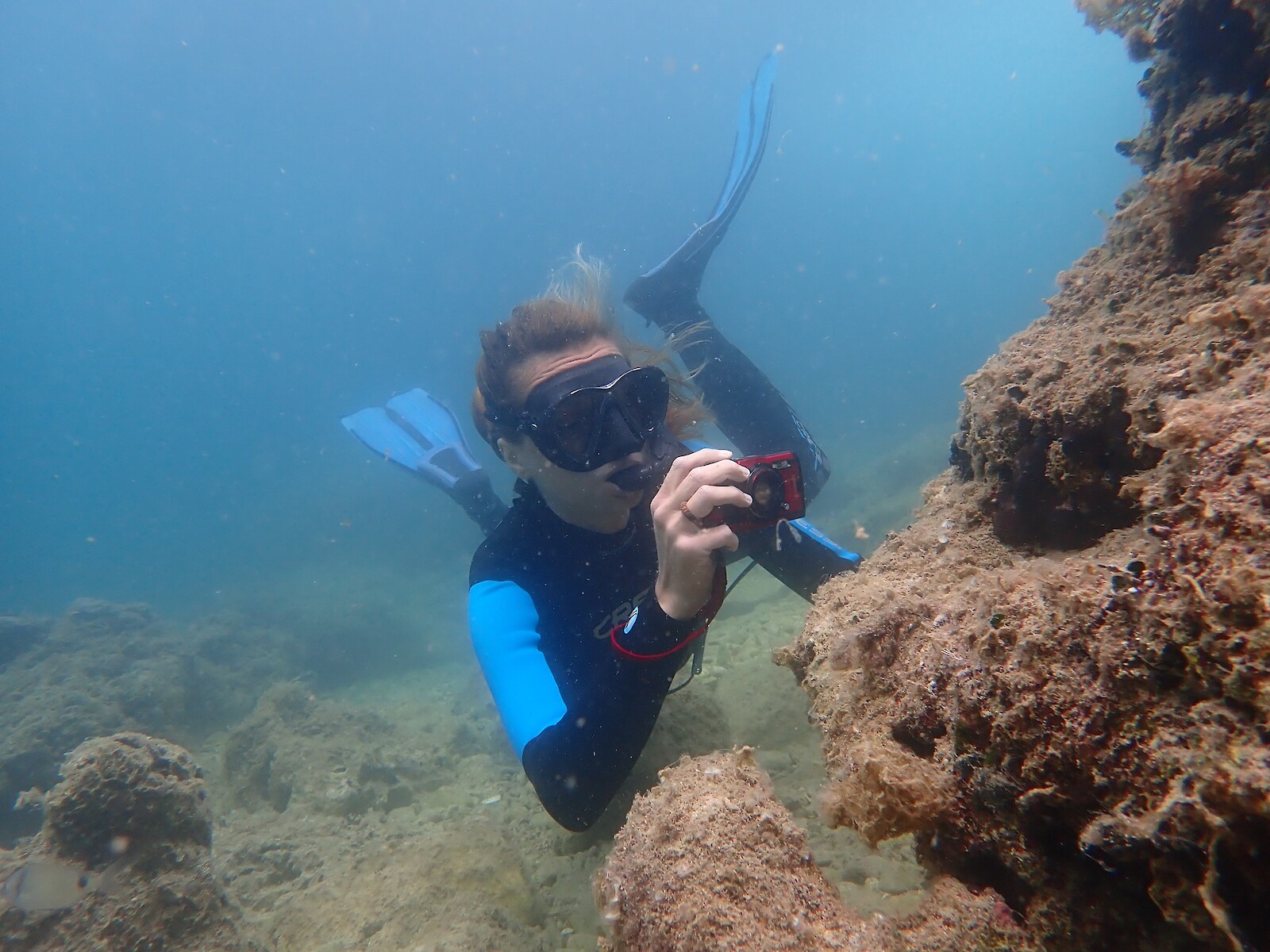 Interfacing Ecologies || Sandra Bračun || 27 June 2025 || 17.30 on Zoom