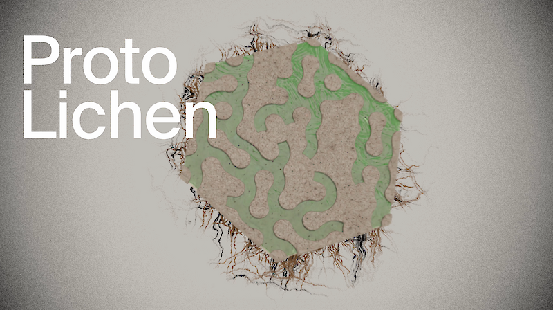 Proto-Lichen