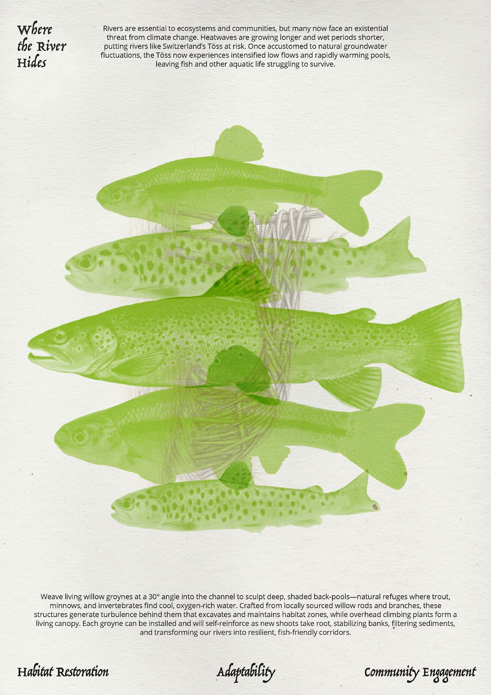 Where the River Hides