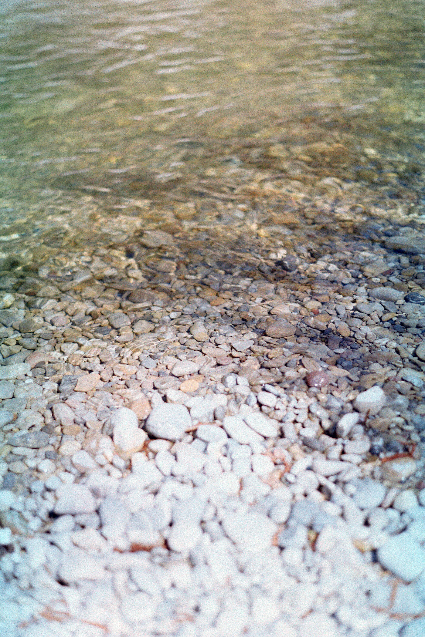 Where the River Hides