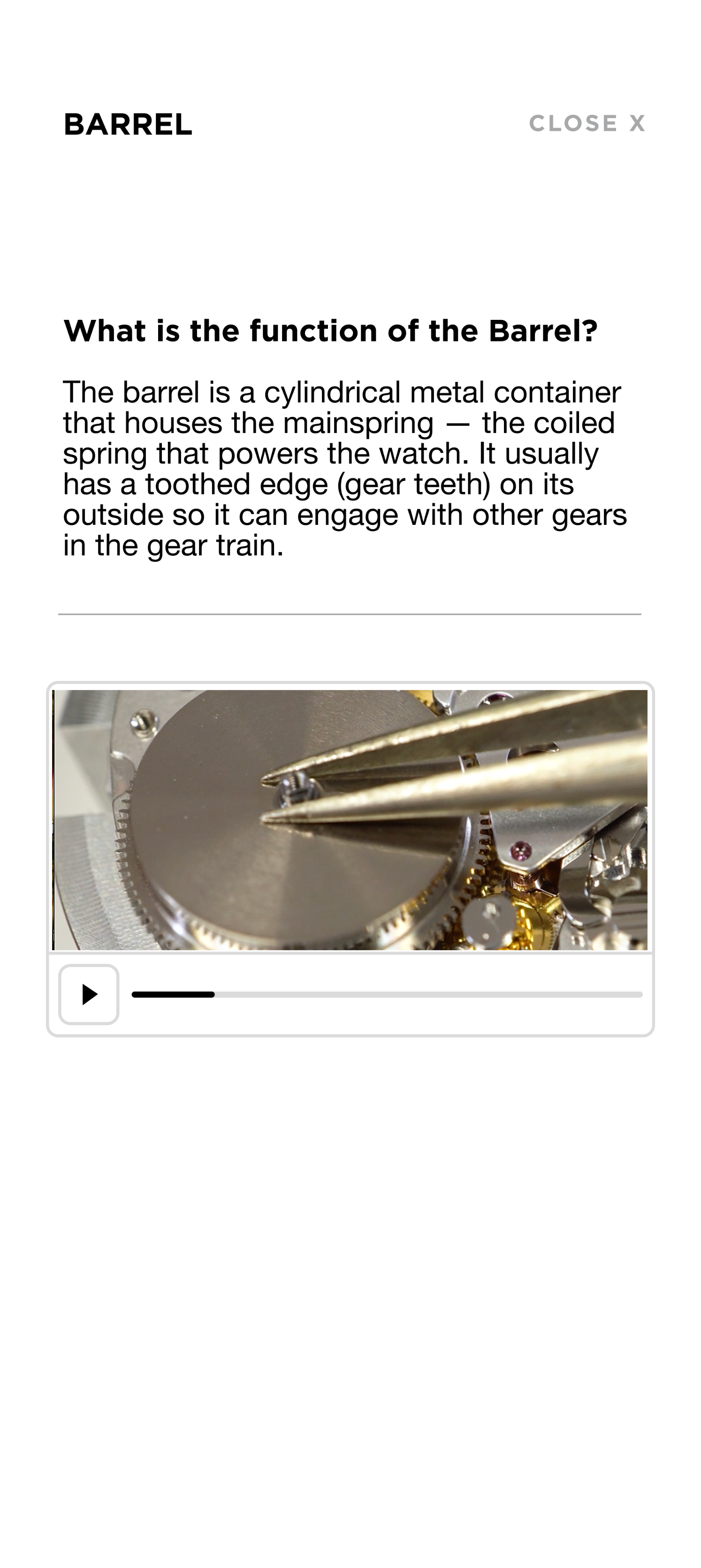 The Watchmaker’s Journey