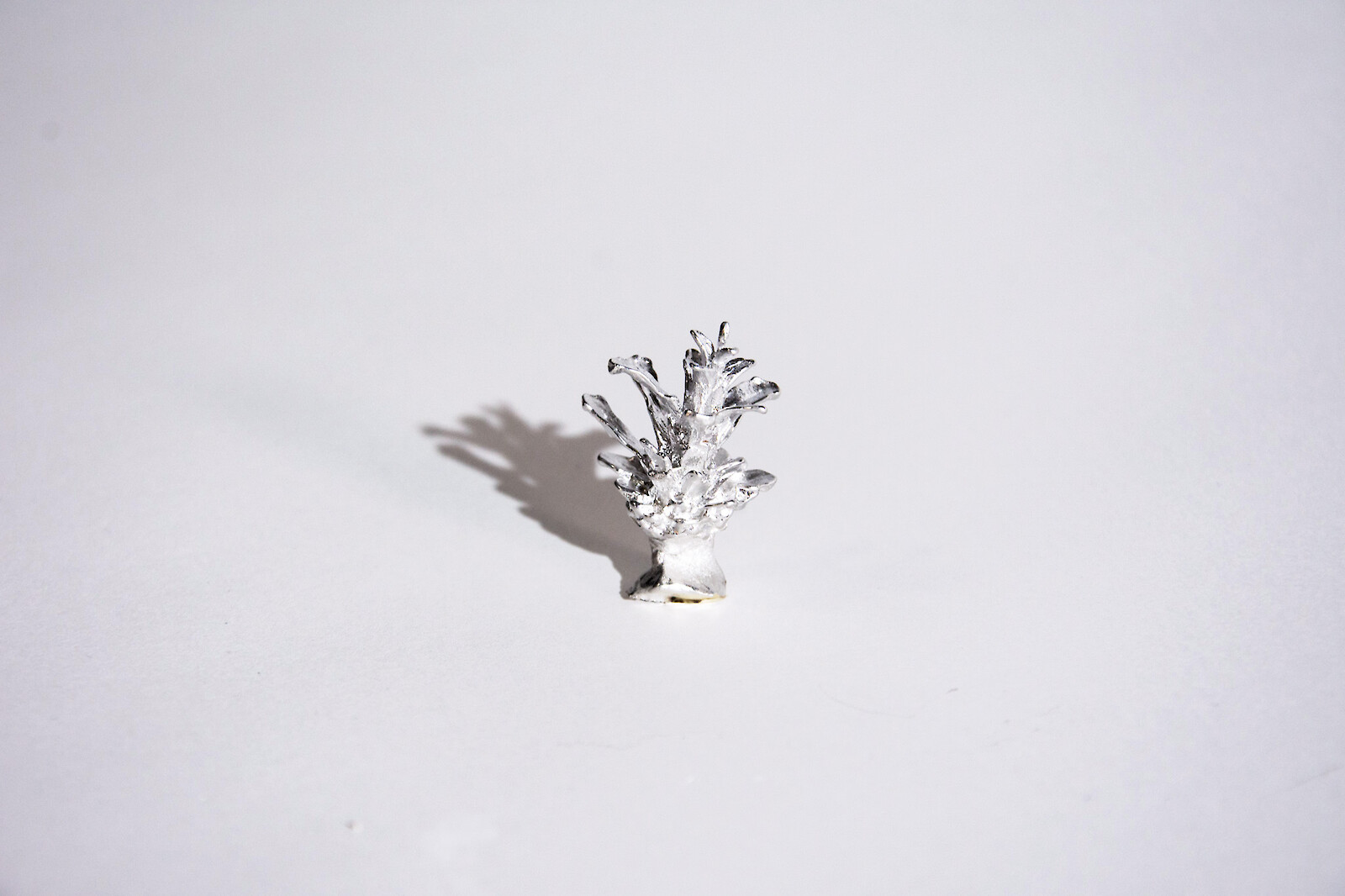 Reflecting Projections