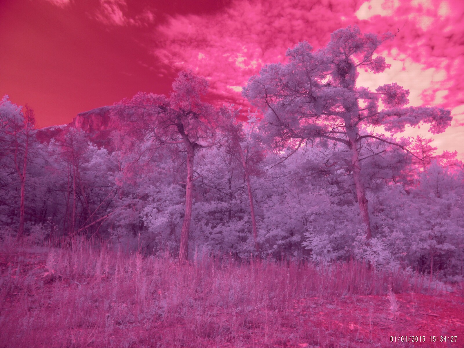 Interfacing Ecologies || Rasa Smite || 25 November 2025 || 17.00 – 18.30 || Cinema 3.G02