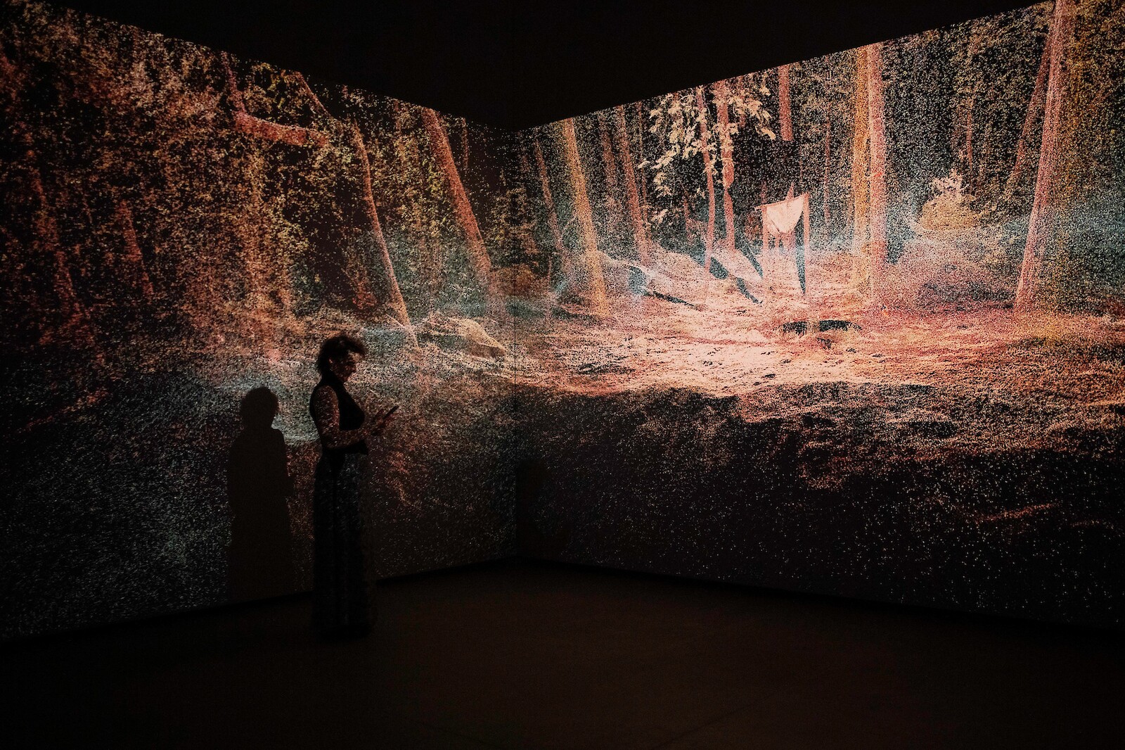 Interfacing Ecologies || Rasa Smite || 25 November 2025 || 17.00 – 18.30 || Cinema 3.G02