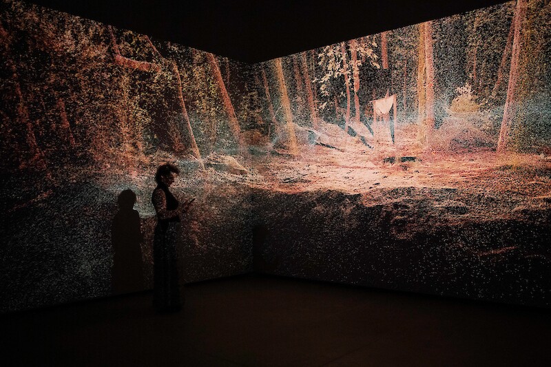 Interfacing Ecologies || Rasa Smite || 25 November 2025 || 17.00 – 18.30 || Cinema 3.G02