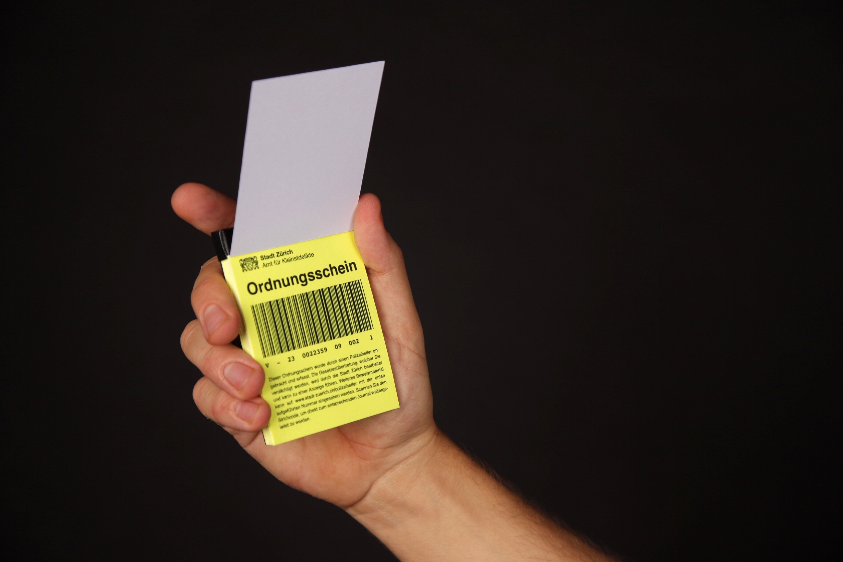 Amt für Kleinstdelikte