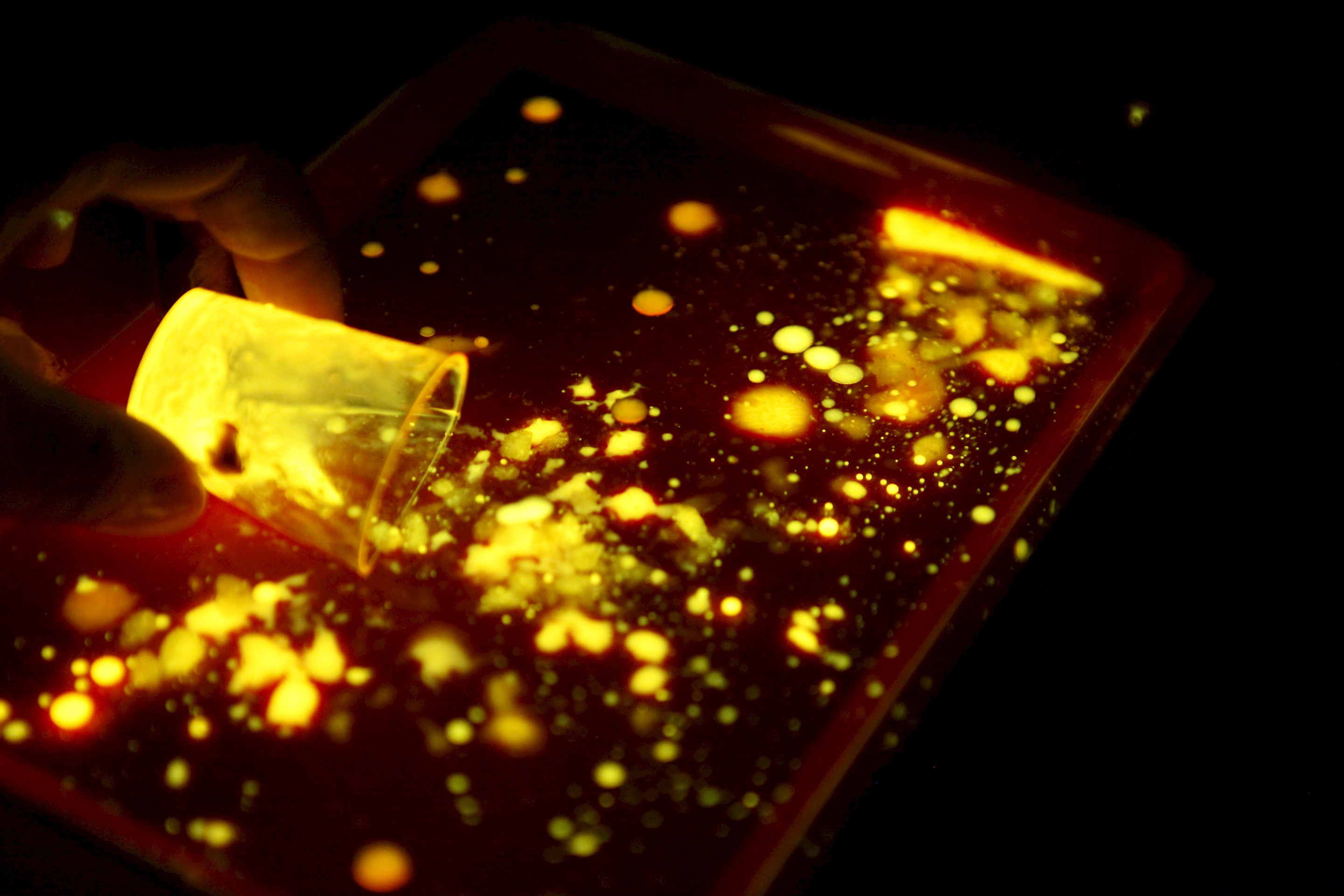 Enactive Environments