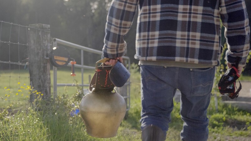 The Affordance of Cattle