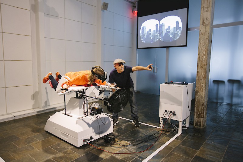 Birdly