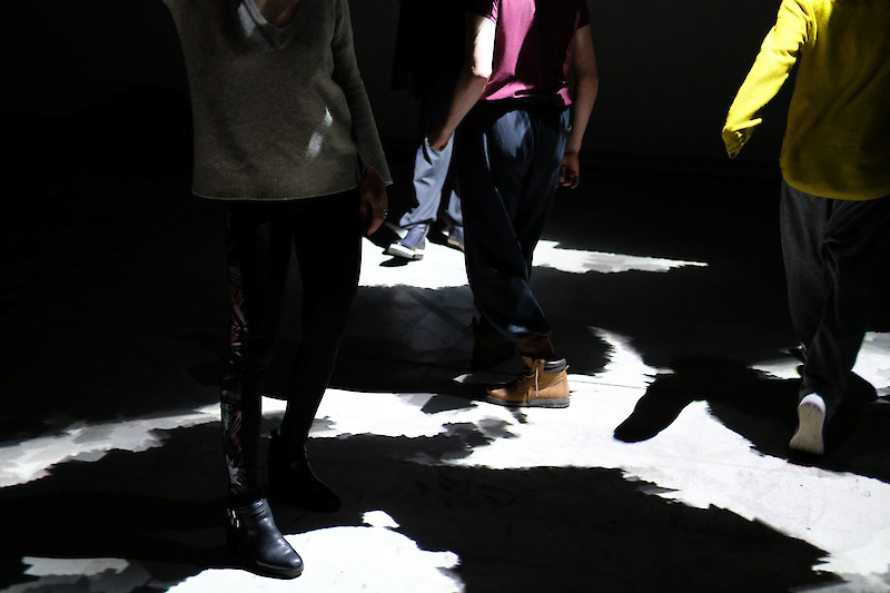 "Extinction / I'm still here" Interaction in a transdisciplinary dance performance