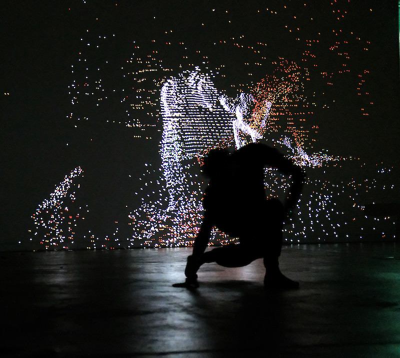 "Extinction / I'm still here" Interaction in a transdisciplinary dance performance