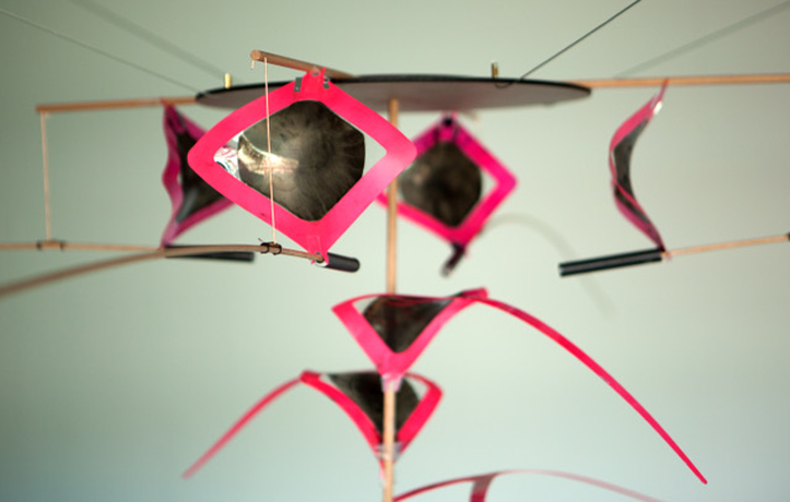 Electric Animal Plant: Installation an der Design Biennale Zürich 2017