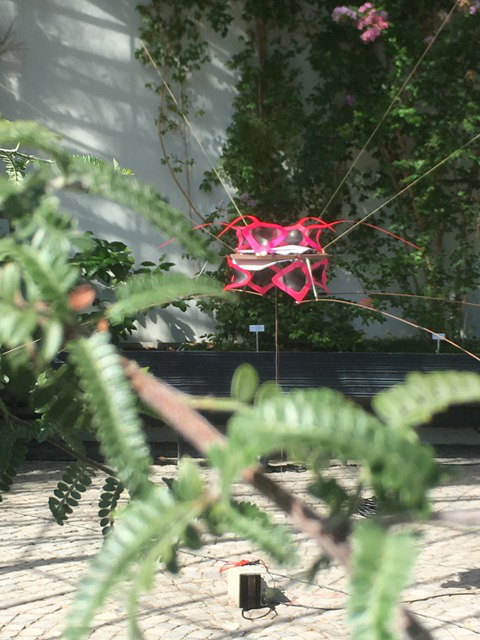 Electric Animal Plant: Installation an der Design Biennale Zürich 2017