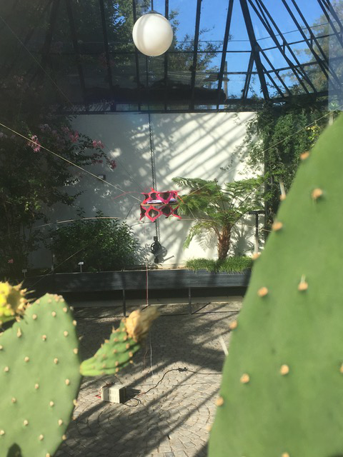 Electric Animal Plant: Installation an der Design Biennale Zürich 2017