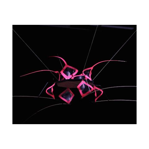 Interacting with Electroactive Polymers in Responsive Environments @ TEI conference in Phoenix, Arizona || 17.-20. März, 2019 || von Karmen Franinović, Luke Franzke, Andrés Villa Torres und Florian Wille