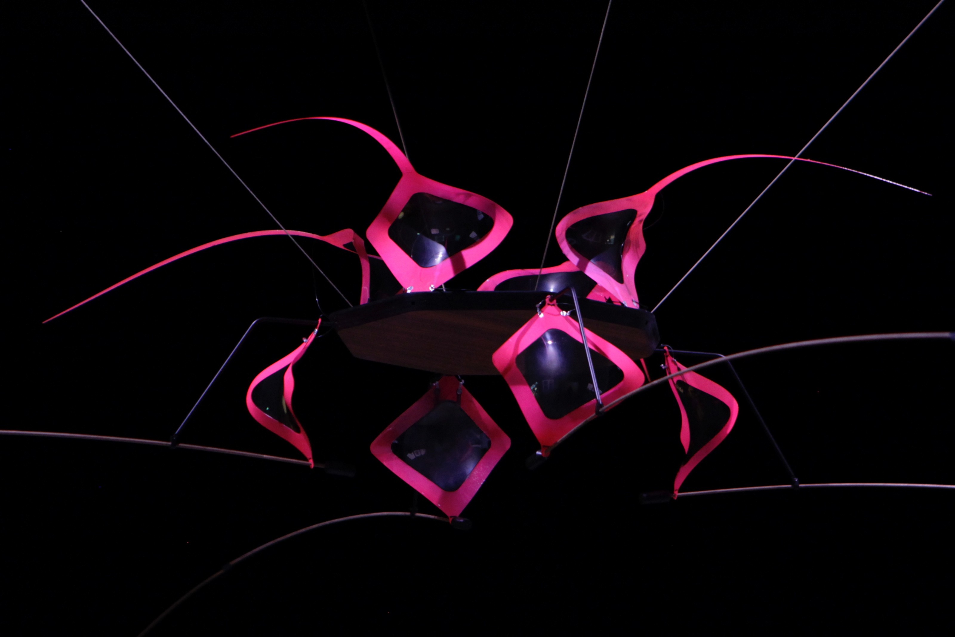 Shape Changing Surfaces and Structures