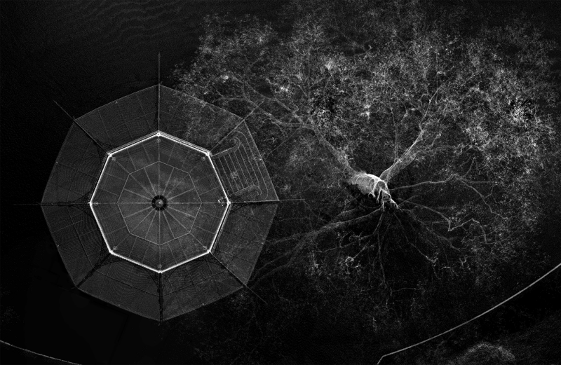 Deep Vision