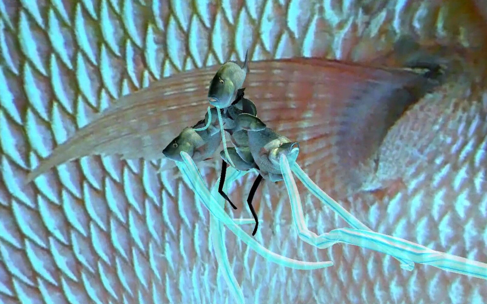 2 Semester – Studio 4