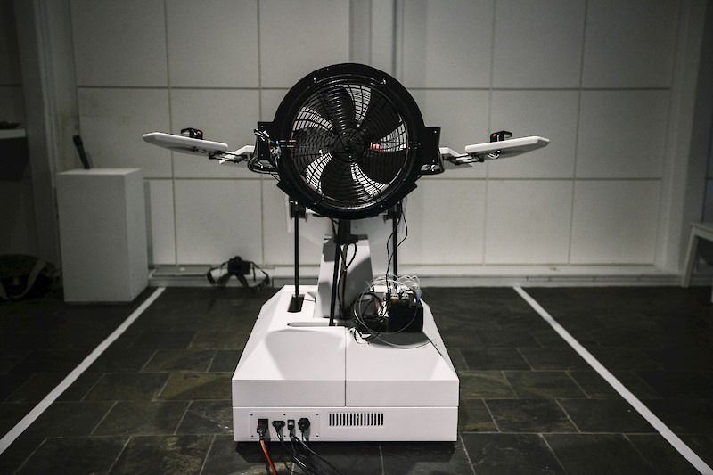 Birdly