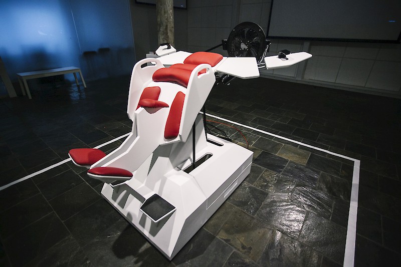 Birdly