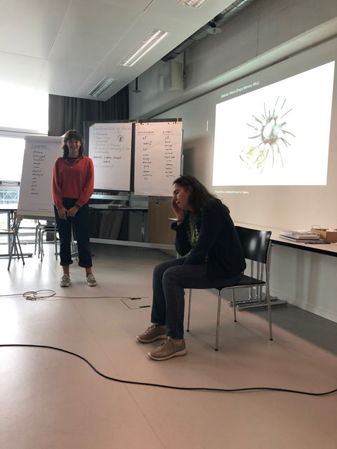 HSGYM-ZHdK-Tag der Mittelschulen || 26. September 2019