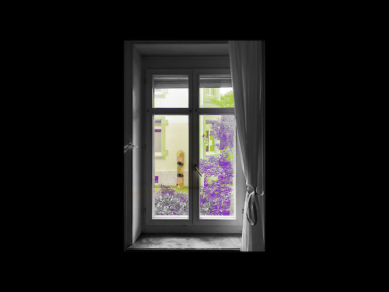 Windows to the City