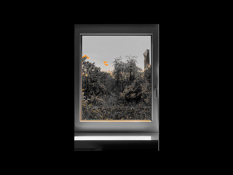 Windows to the City