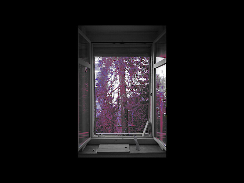 Windows to the City