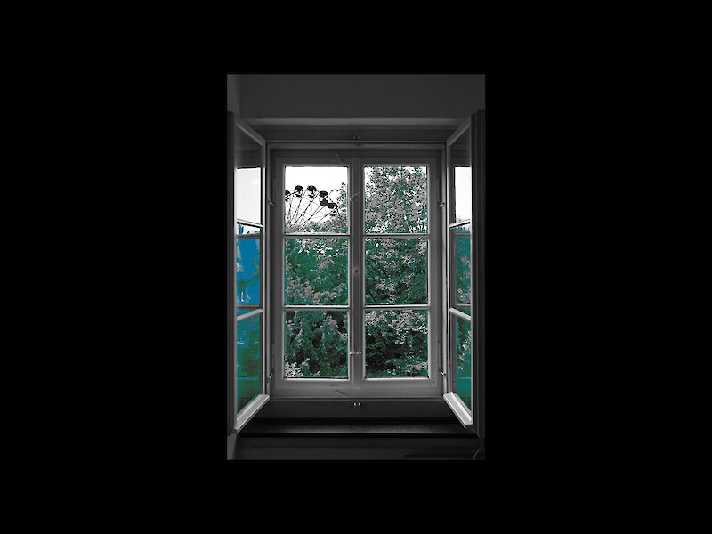 Windows to the City