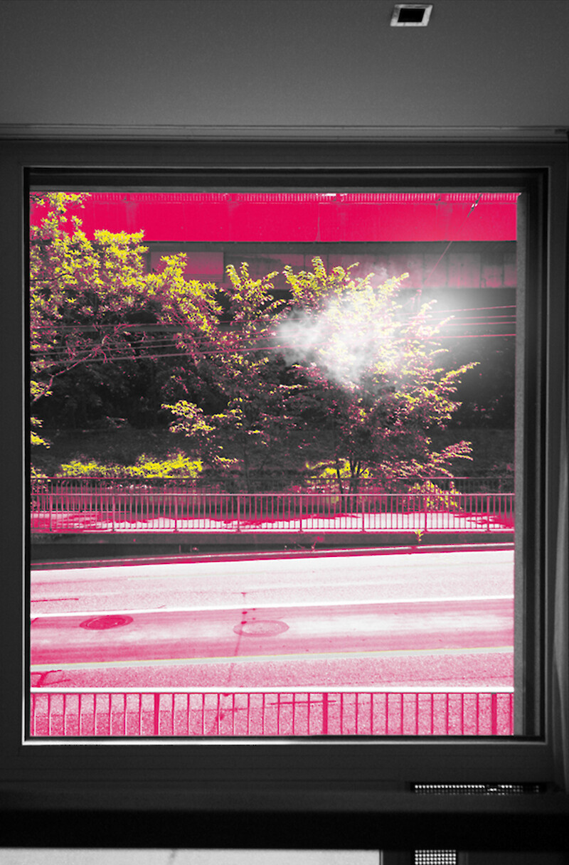 Windows to the City