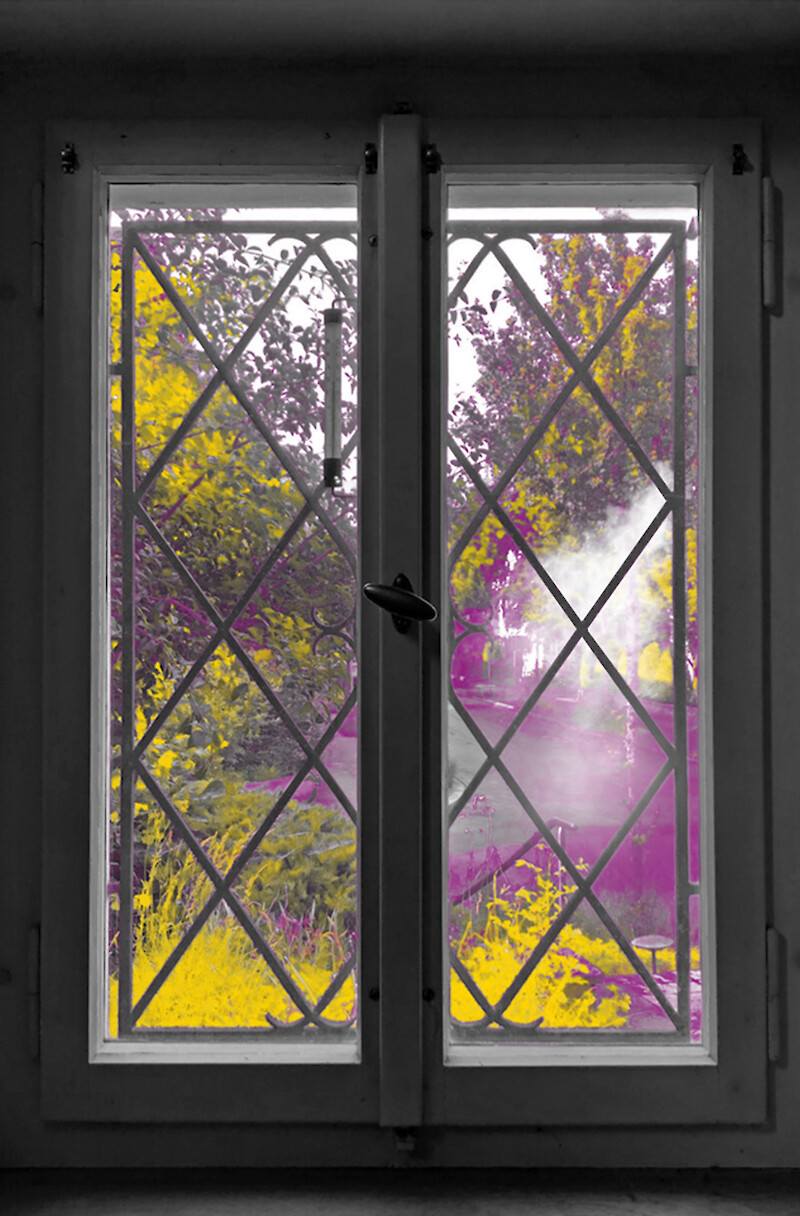 Windows to the City